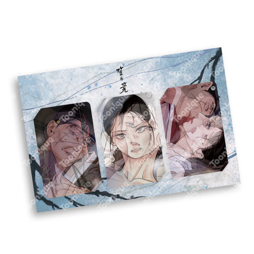 Steel Under Silk Lenticular Set
