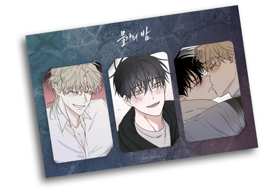 Low Tide in Twilight Lenticular Photocard SET