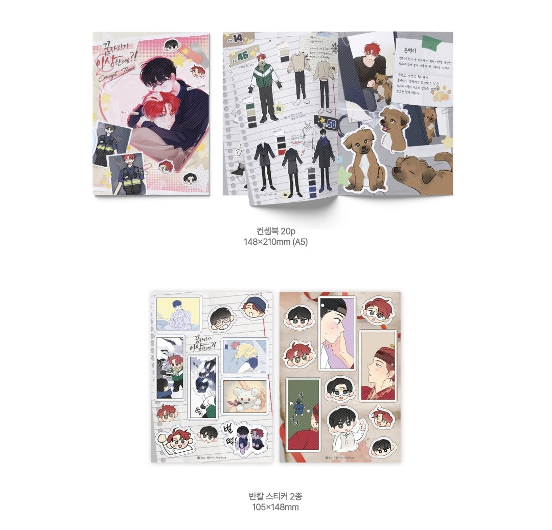 It's Just a Dream, Right? Concept Book