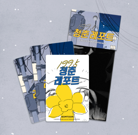 1995 Youth Report Photo Cards