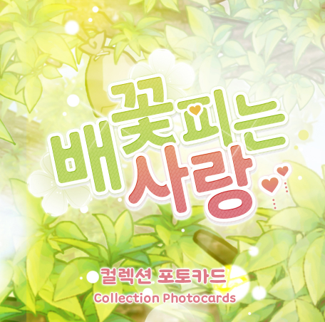 When Pear Blossoms Bloom Collection Photo Cards