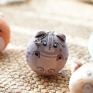 A Male Fan Stuffed Characters