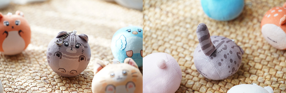A Male Fan Stuffed Characters