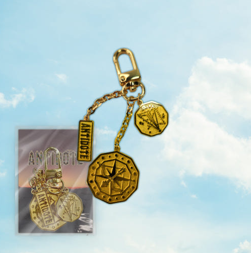 Antidote Metal key ring