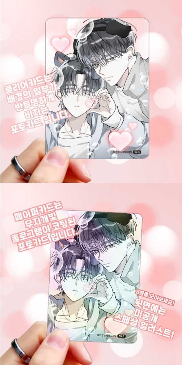 A World Without You Photo Card Collection