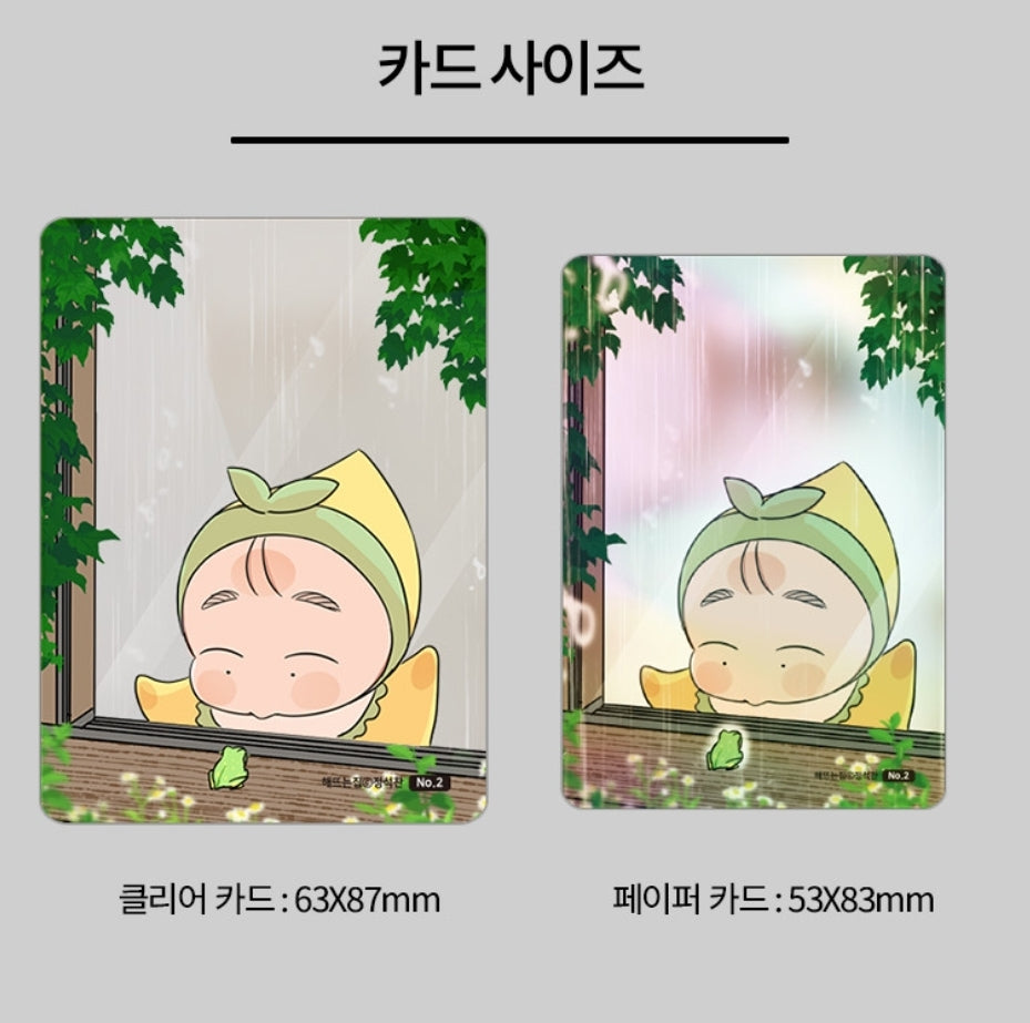 Our Sunny Days Photo Card Collection