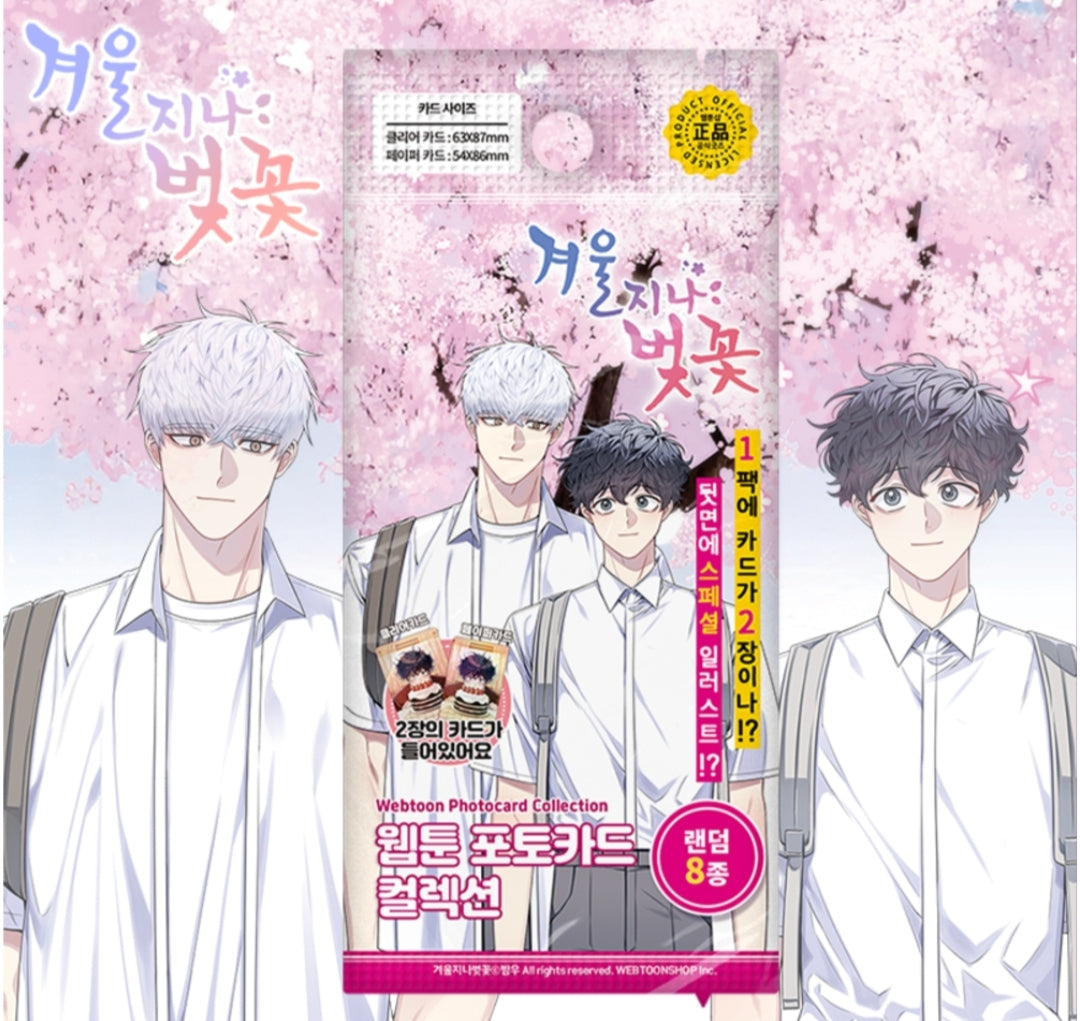 Cherry Blossoms After Winter Photocard Collection