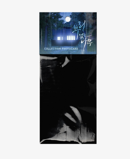 [Pre-order] A Tree Without Roots Photo Cards Version 2
