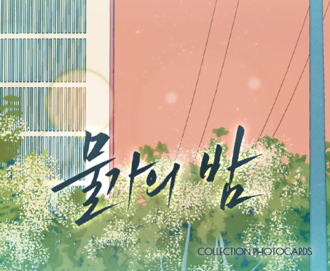 [Regular/Pre-order] Low Tide in Twilight Collection Photo Cards ver. 2