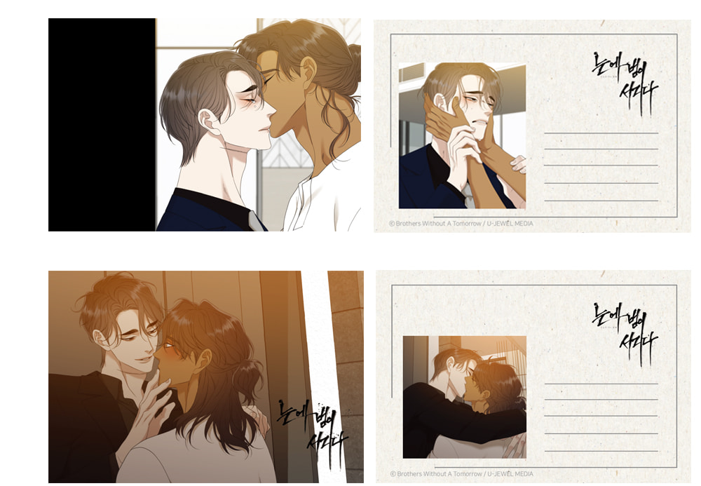 Taming of the Tiger Postcard Set