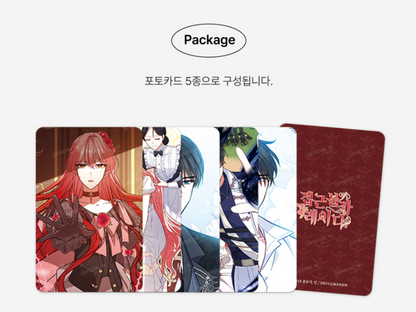 Solitary Lady Photo Card Set