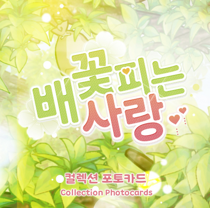 When Pear Blossoms Bloom Collection Photo Cards