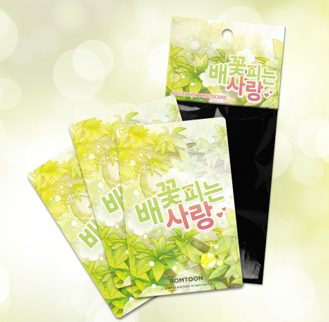 When Pear Blossoms Bloom Collection Photo Cards