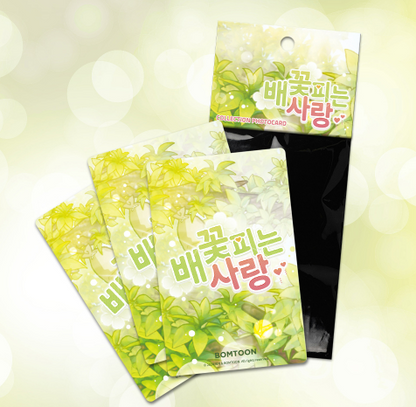 When Pear Blossoms Bloom Collection Photo Cards