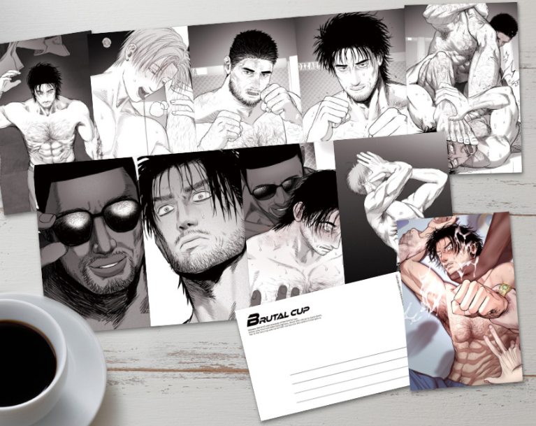 Indomitable Champion Post Card Book Set