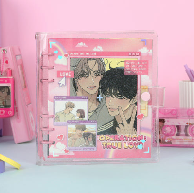 Operation True Love Diary