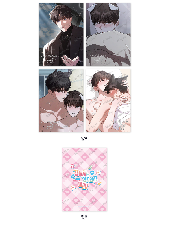 Paws and Claws Illustration Artboards