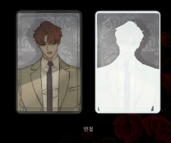 Tears on a Withered Flowers PET Photocard Set