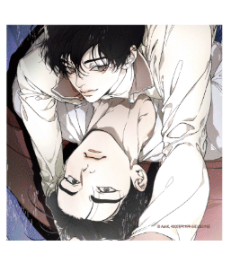 Noctea Pop-up: Us in Bloom Artboard