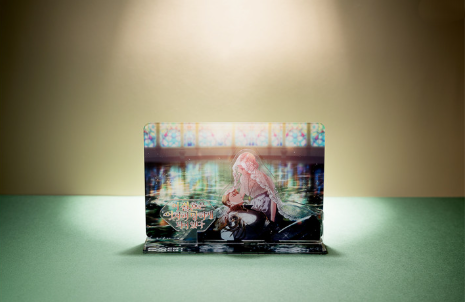 The Broken Ring: This Marriage Will Fail Anyway Vol. 1 Acrylic Diorama
