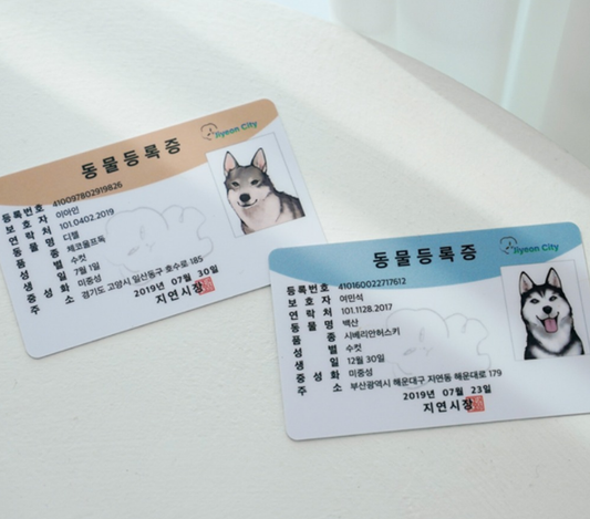 Wolf in the House Animal ID Cards