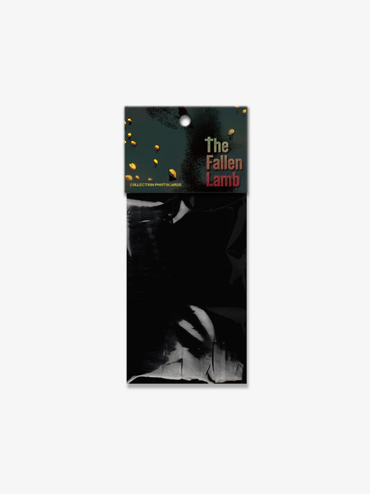 The Fallen Lamb Collection Photo Cards