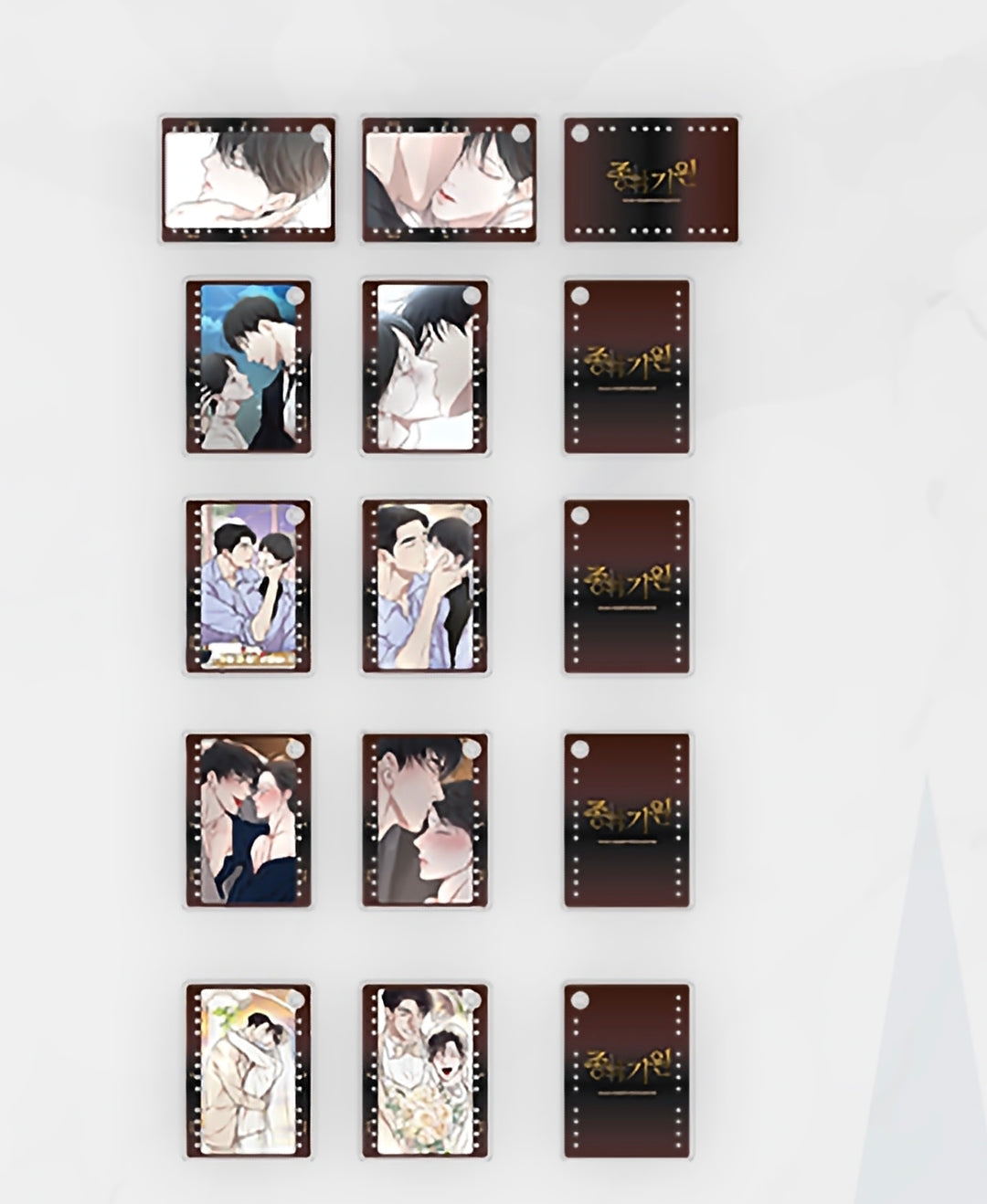 [Pre-order] Origin of Species x Evolution of Species Pop-up: Origin of Species Lenticular Acrylic Card Keyring