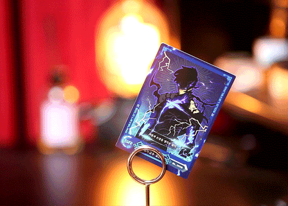 Solo Leveling Photo Card Collection Vol. 1