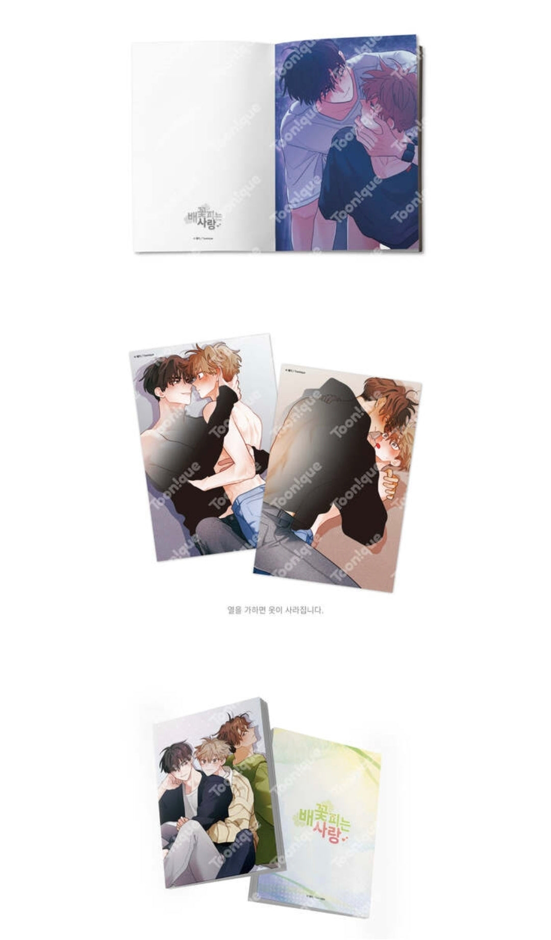 [Pre-order] When Pear Blossoms Bloom Illustration Postcard Book SET