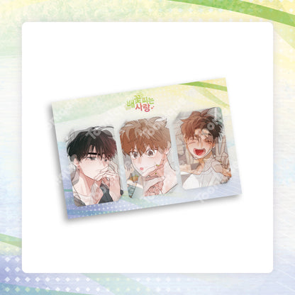 [Pre-order] When Pear Blossoms Bloom Lenticular Set
