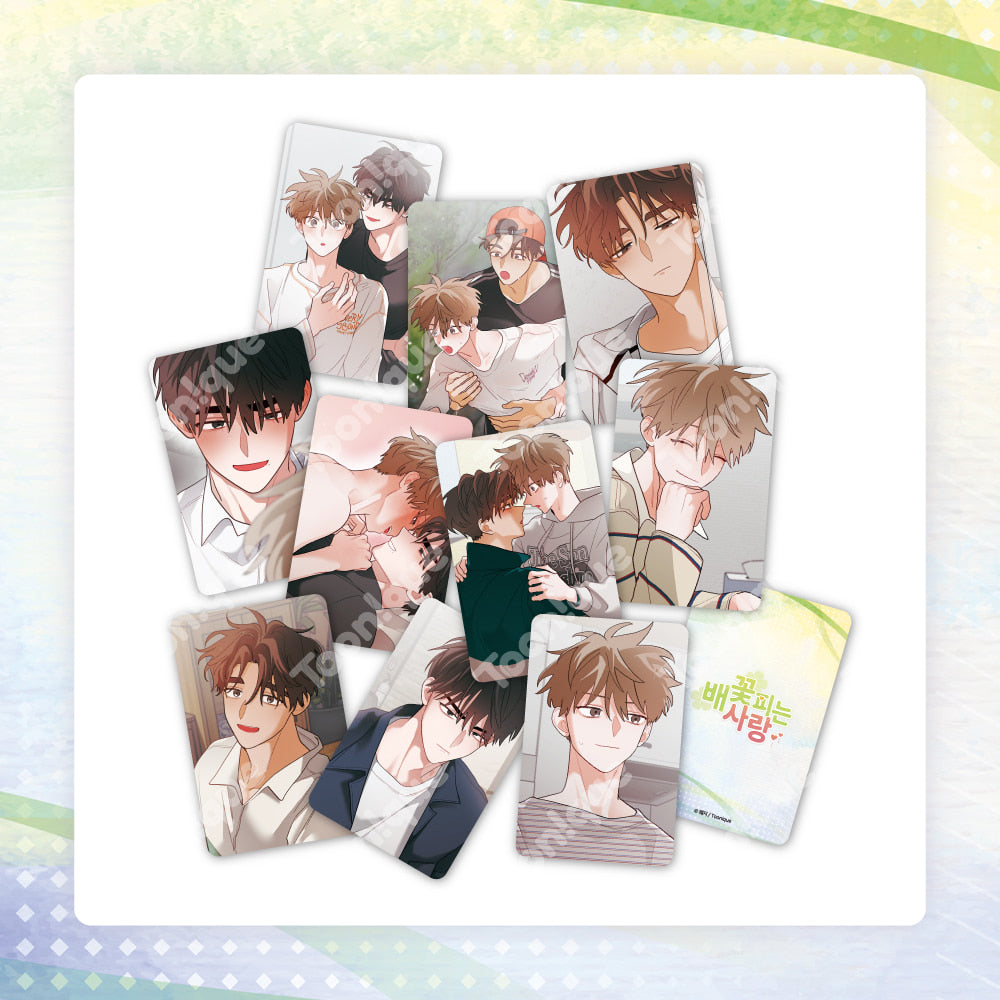 When Pear Blossoms Bloom Photo Cards
