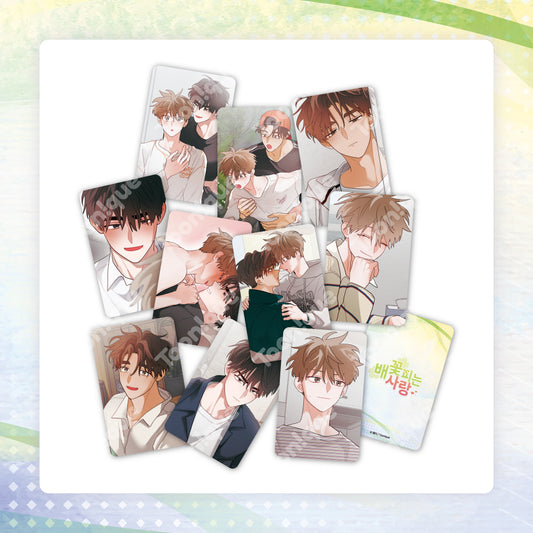[Pre-order] When Pear Blossoms Bloom Photo Cards